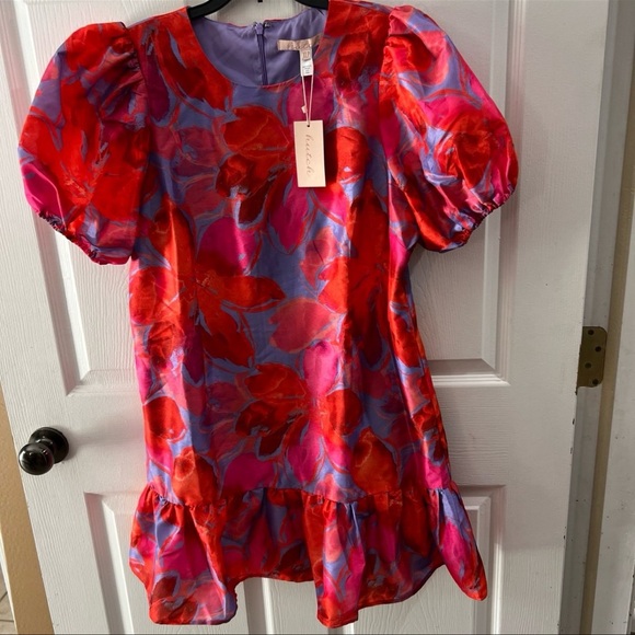 Hutch Pink and Red Floral Mini Dress - Picture 3 of 13